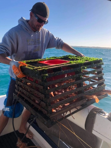 craypot filled with lobsters